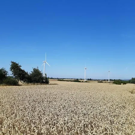 Lykkemosegaard - Gammel Gard Midt I Naturen * Stege