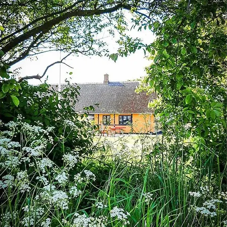 Lykkemosegaard - Gammel Gard Midt I Naturen Holiday home
