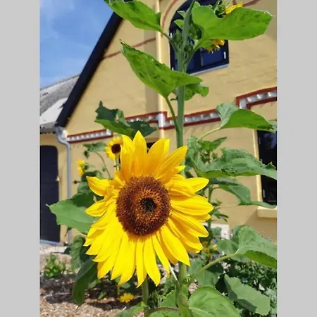 Lykkemosegaard - Gammel Gard Midt I Naturen Holiday home